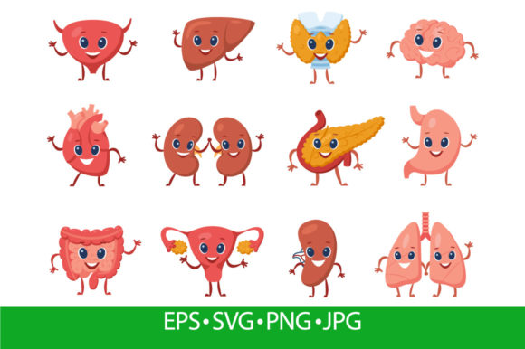 Cute Internal Organ with Funny Faces Graphics