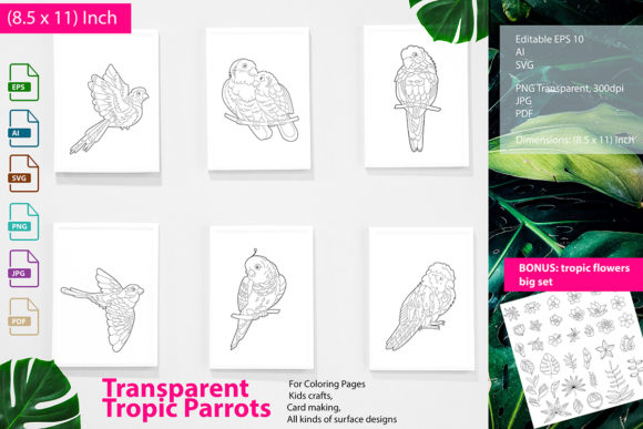 Parrots Graphics for Coloring Pages Amp